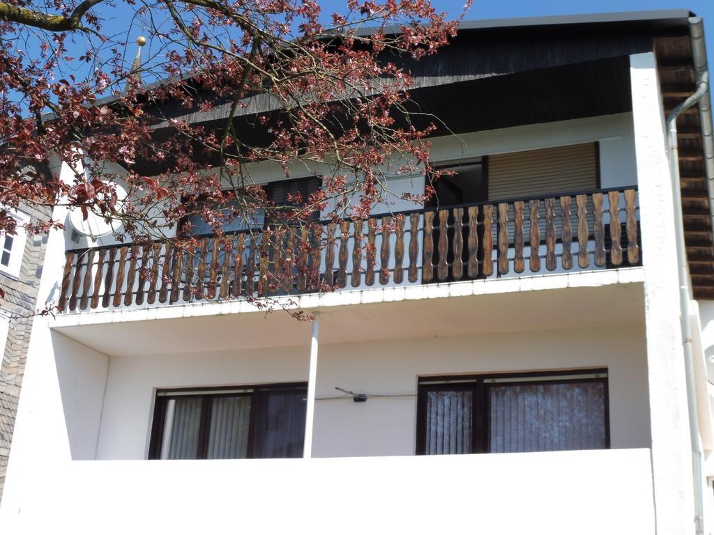 Villa Althaus Medebach Εξωτερικό φωτογραφία